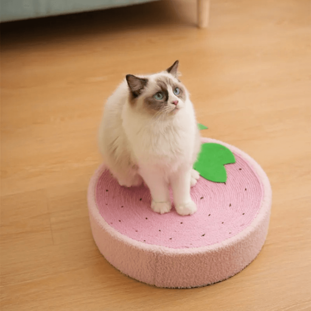 Griffoir Lit pour Chats