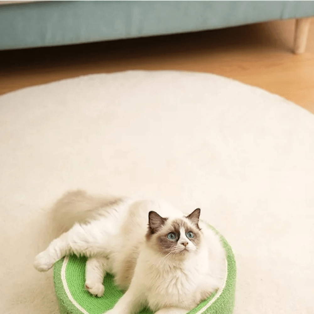 Griffoir Lit pour Chats