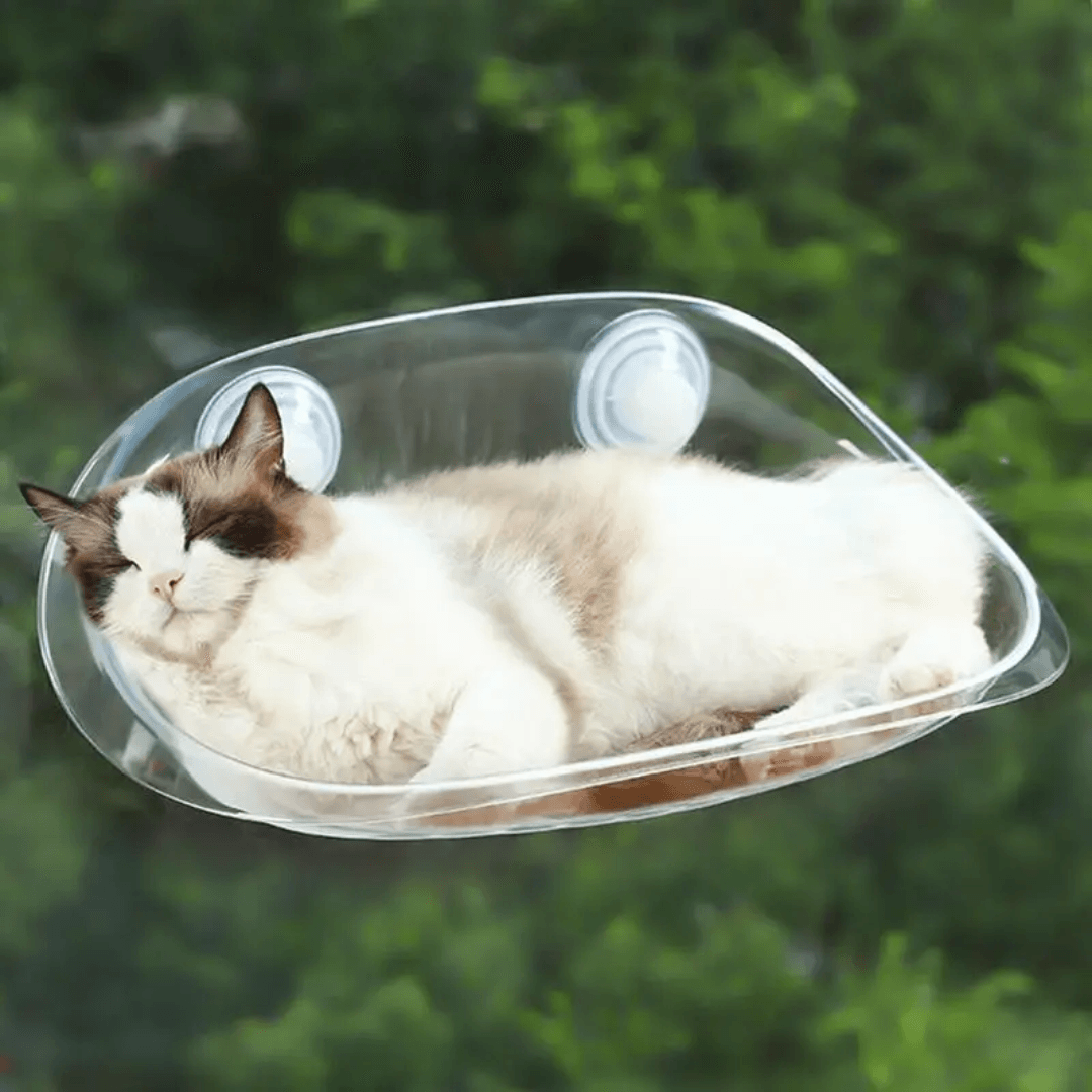 Lit Suspendu Moderne pour Chats